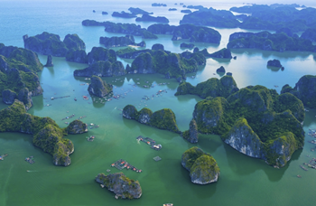 TOUR 4 SAO 2N1Đ (HẢI PHÒNG - CÁT BÀ).
