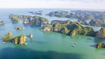 TOUR 4 SAO 2N1Đ (HÀ NỘI - CÁT BÀ)